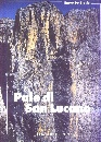 DE BIASIO ETTORE, Pale di San Lucano