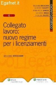 BRISCIANI MASSIMO, Collegato lavoro