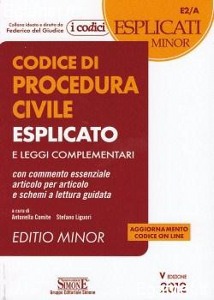 DEL GIUDICE, Codice di procedura civile esplicato