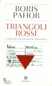 Ingrandisci immagine