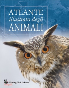 Ingrandisci immagine