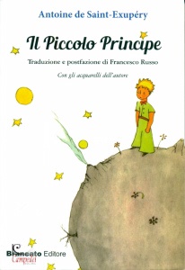 Ingrandisci immagine