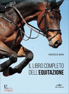 Ingrandisci immagine