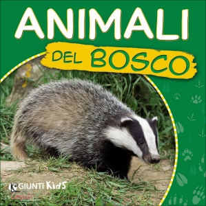 Ingrandisci immagine