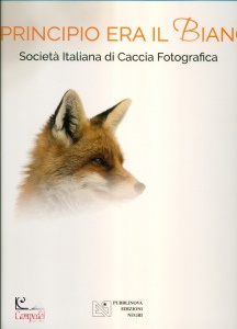 Ingrandisci immagine