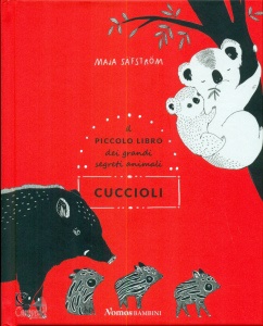 Ingrandisci immagine