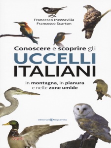 Ingrandisci immagine