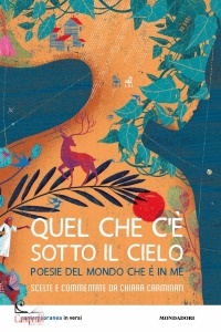 Ingrandisci immagine