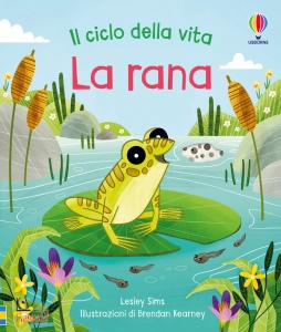 Ingrandisci immagine