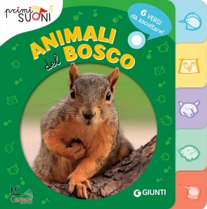 Ingrandisci immagine