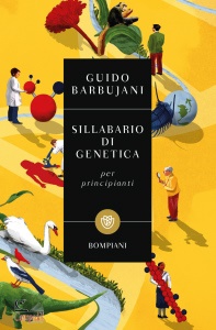 Ingrandisci immagine
