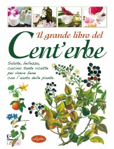 Ingrandisci immagine
