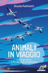 Ingrandisci immagine