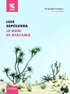 Ingrandisci immagine