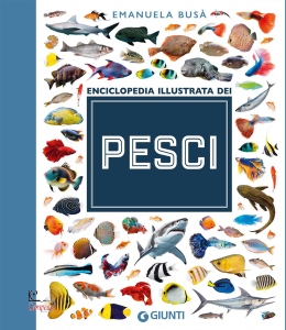 Ingrandisci immagine