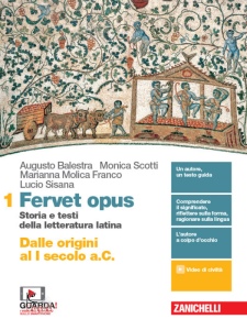 Ingrandisci immagine