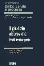 immagine di Il giudizio abbreviato. Profili teorico-pratici