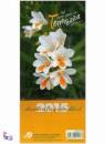 CALENDARIO, Calendario da tavolo 2015