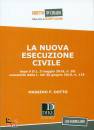 DOTTO MASSIMO, La nuova esecuzione civile