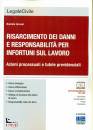 IARUSSI DANIELE, Risarcimento dei danni e responsabilit� ...