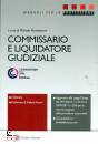 immagine di Commissario e liquidatore giudiziale