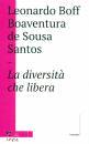 BOFF  DE SOUSA SANTO, Diversita