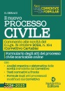 immagine di Nuovo processo Civile Commento alle novit� ...
