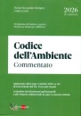immagine Codice dell