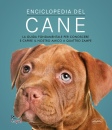 immagine libro